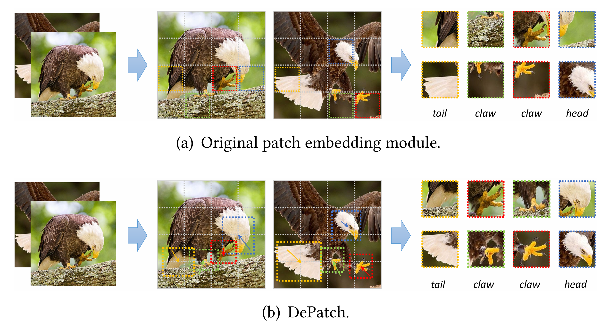 DPT: Deformable patch-based transformer for visual recognition