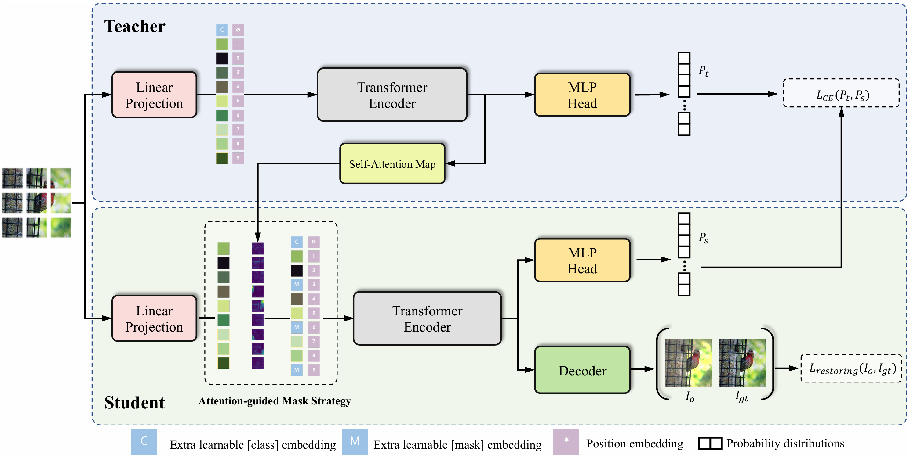 MST: Masked Self-Supervised Transformer for Visual Representation